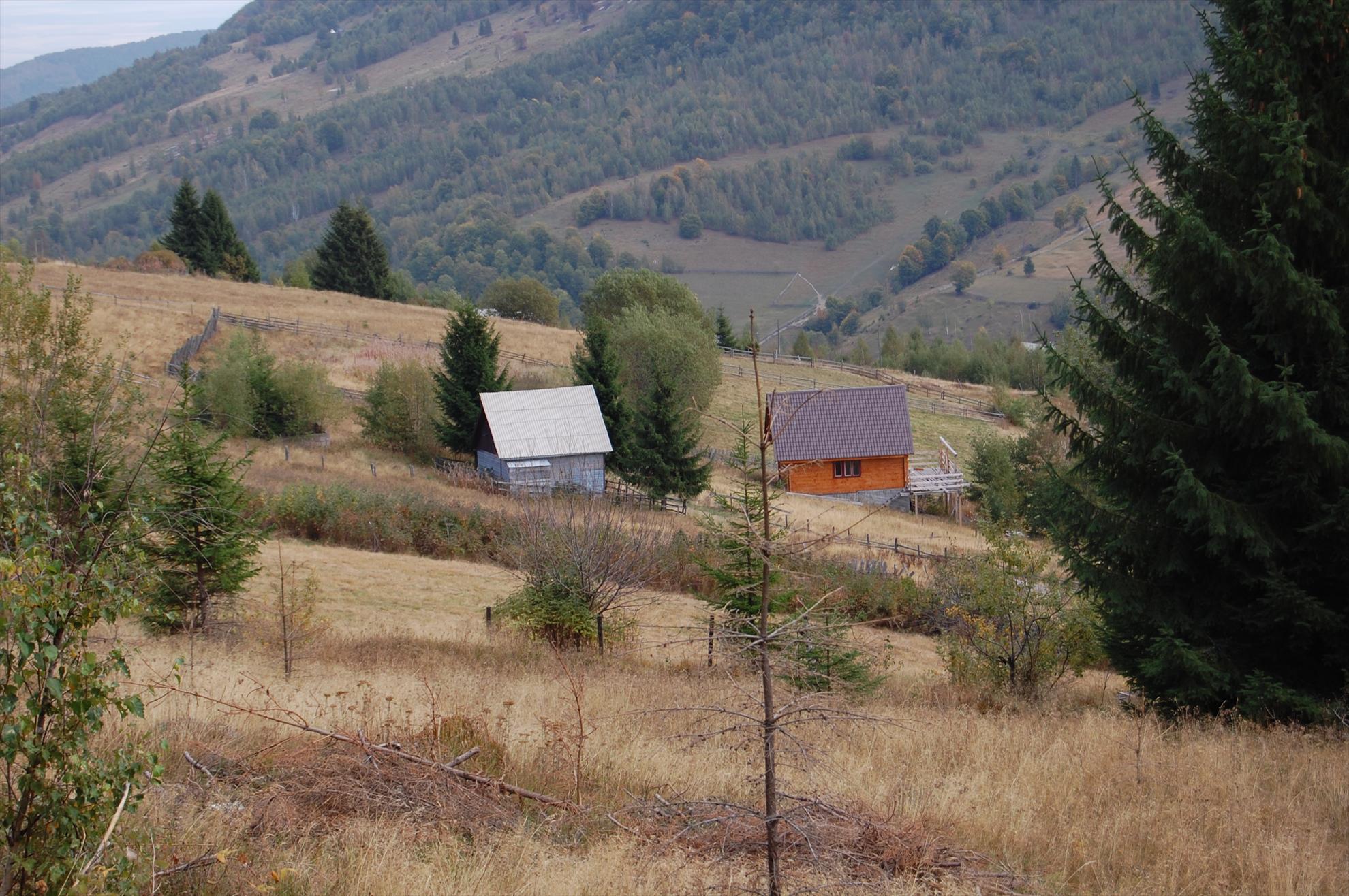 My new passion...2 - dsc030511.JPG